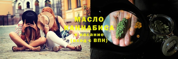 ешки Горняк