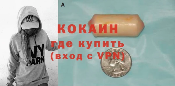 ешки Горняк